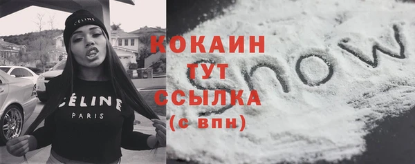 сатива Арсеньев
