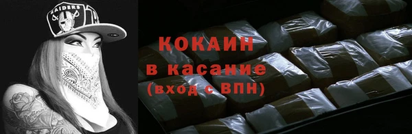 сатива Арсеньев