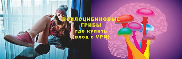 прущий лед Аркадак