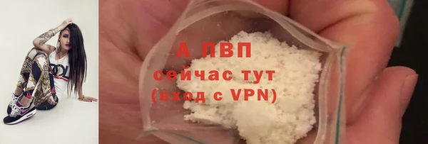 сатива Арсеньев