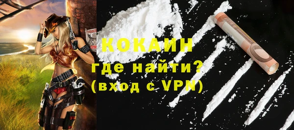сатива Арсеньев