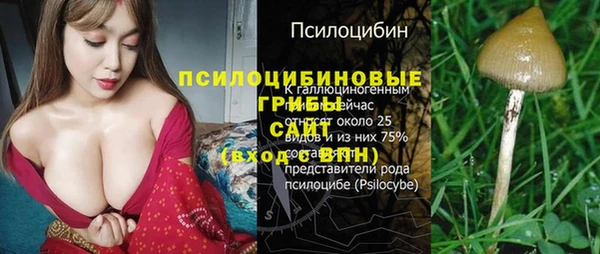прущий лед Аркадак