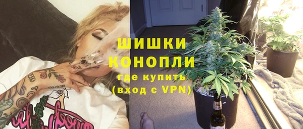 сатива Арсеньев