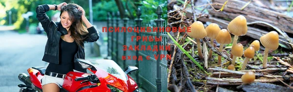 прущий лед Аркадак
