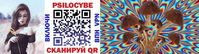 купить закладку  Нефтегорск  Галлюциногенные грибы Psilocybe 